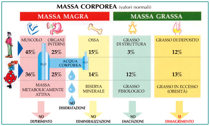 Esame B.I.A. Per La Composizione Corporea ⋆ NutriAmo La Salute